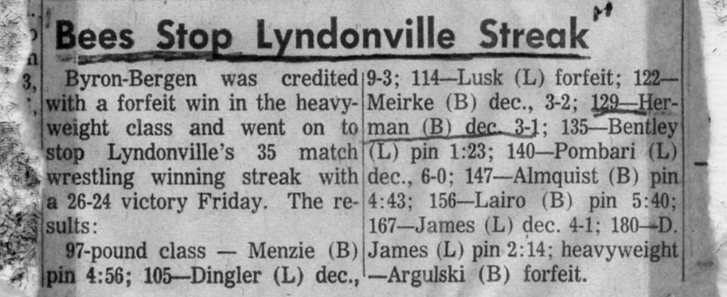 Bees Stop Lyndonville Streak