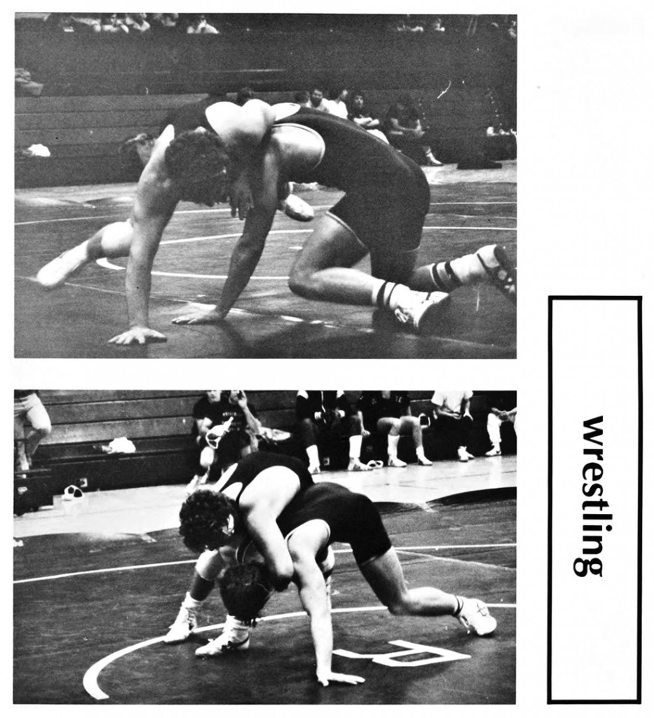 1978-1979 Rochester Yellowjackets