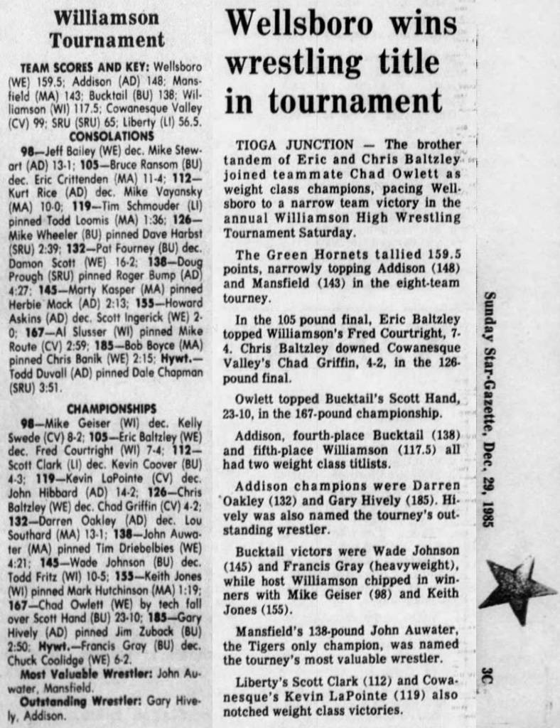 Wellsboro wins wrestling title