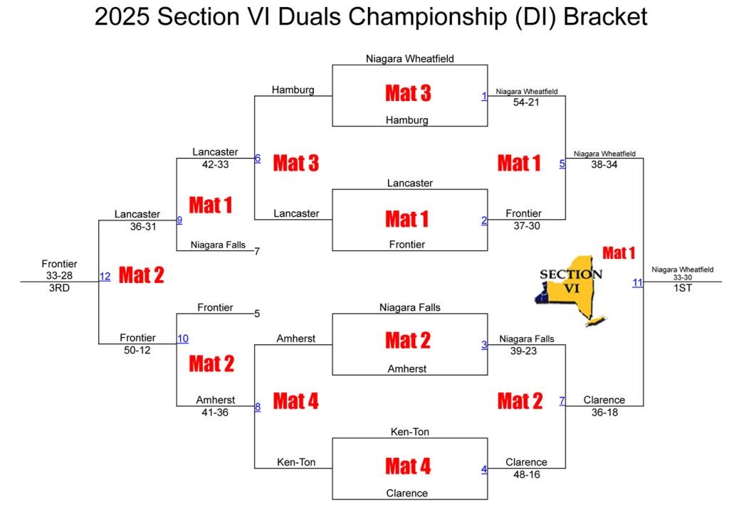Section VI D1 Duals