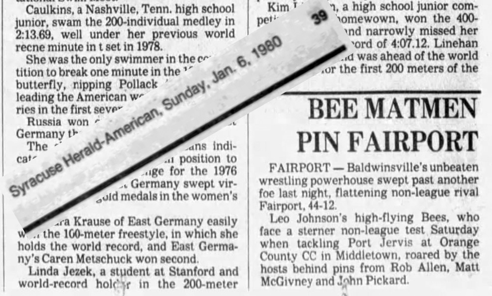 Bee Matmen Pin Fairport