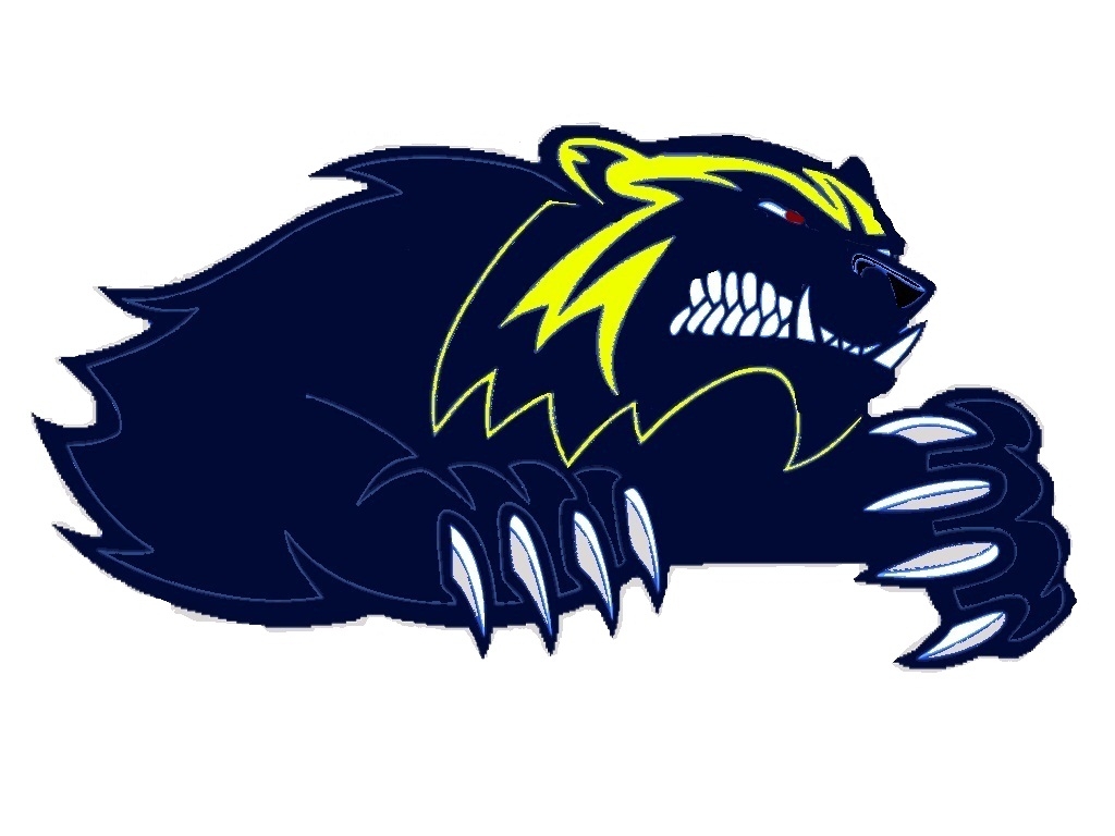 Niagara Falls Wolverines