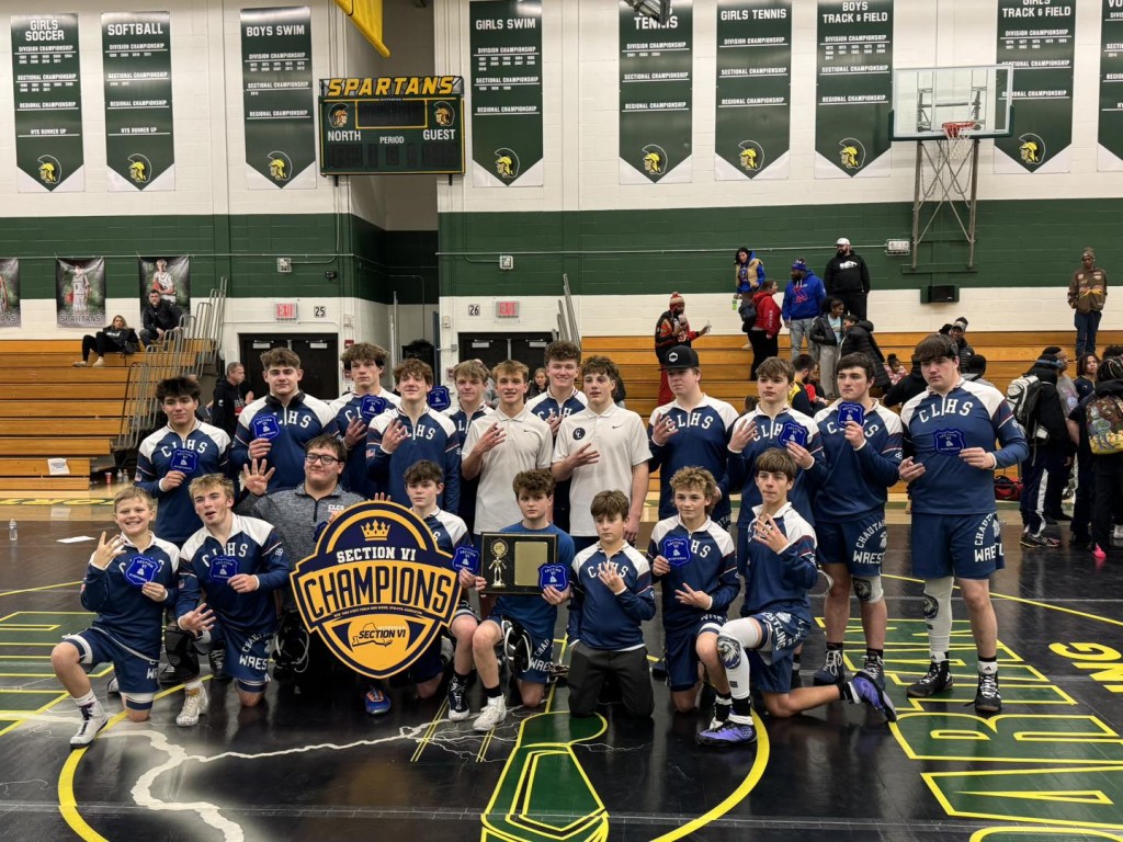 Section VI D1 Duals
